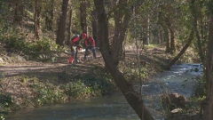 Čišćenje NP Krka od opasne i invazivne azijske biljne vrste