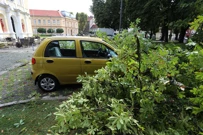 Posljedice nevremena u Karlovcu , Foto: Kristina Stedul Fabac /PIXSELL