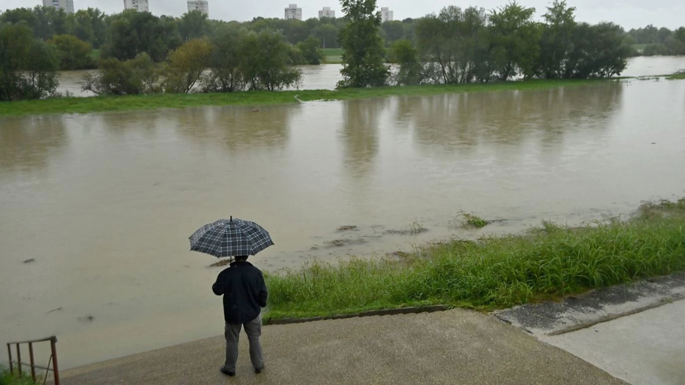 sava123131zg131 20241003142609