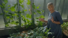 Nedjelja, 12. travnja na Prvom, Foto: Vrtlarica: Male tajne velikih plodova/HRT