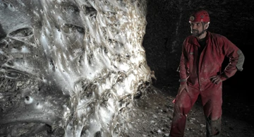 Golema paukova mreža