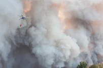 Požar u Sloveniji, Foto: Borut Zivulovic/REUTERS 