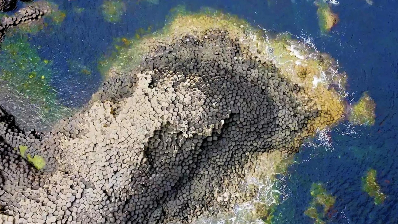 Utorak, 25. studenoga na Drugom