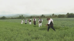 Kupreški kosci