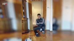 Miro je svinju Elf nabavio za potrebe snimanja videa za Tik Tok