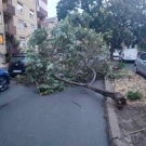 Nevrijeme, Foto: Davor Lončarić/HRT Radio Osijek