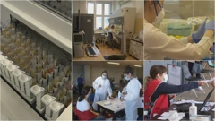 Već drugi Božić zdravstveni djelatnici dočekuju u borbi s epidemijom