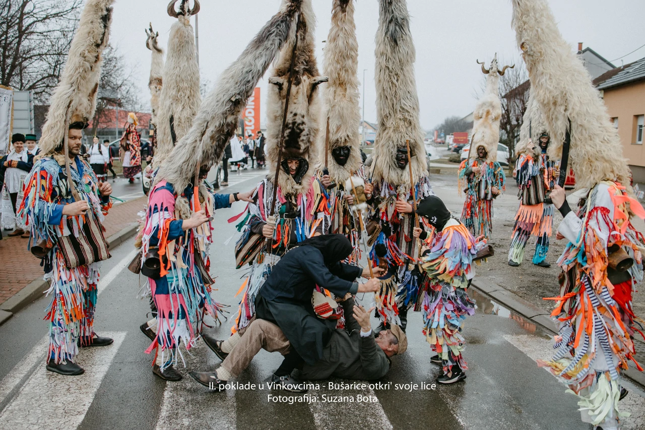 Buše u Vinkovcima, Foto: Dražen Bota/KC Vinkovci