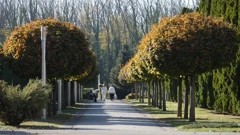 Utorak, 18. studenog na Prvom, Foto: Košnice novog života/dokumentarni film