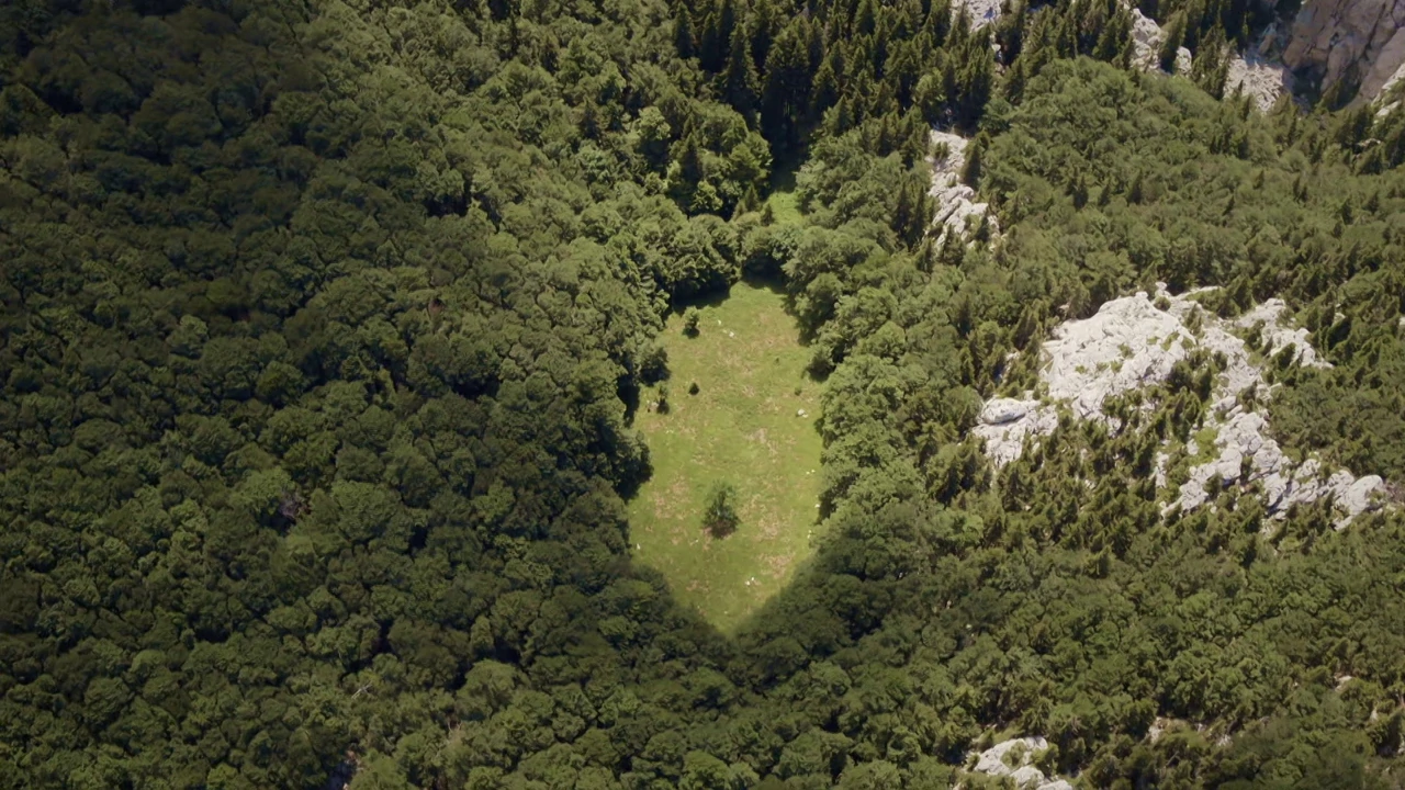 Četvrtak, 14. studenog na Prvom 