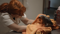 Utorak, 8. travnja na Prvom, Foto:  Doktor za pet/dokumentarna serija