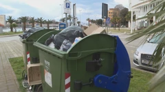 Zadarska "Čistoća" već pola godine traži radnike, Foto: Regionalni dnevnik/HRT