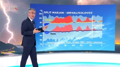 Zoran Vakula