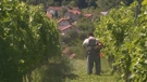 Zatvorenici osvajaju nagrade u vinarstvu