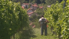 Zatvorenici osvajaju nagrade u vinarstvu