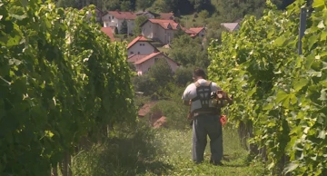 Zatvorenici osvajaju nagrade u vinarstvu