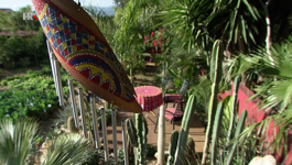 Vrt u Kaštel Kambelovcu