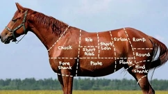 Srijeda, 18. svibnja na Prvom , Foto: Prijevare s hranom/dokumentarni film