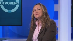 Ružica Vukovac, saborska zastupnica Domovinskog pokreta, Foto: HTV/HRT