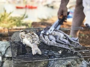 Subota, 15. studenog na Drugom , Foto: Anthony Bourdain - Upoznavanje nepoznatog/dokumenarna serija