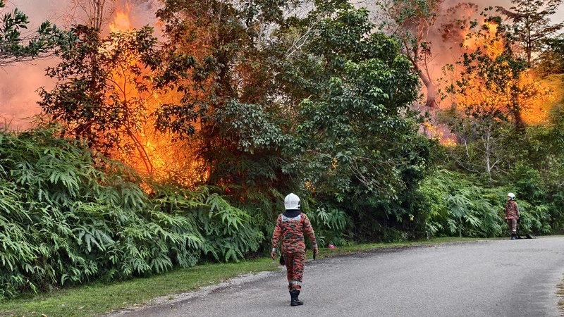Požar u Maleziji uništio 1000 domova, tisuće ljudi raseljene