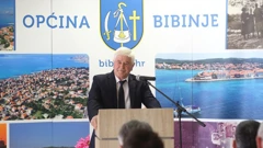 Zaustavljena sječa šume iznad Bibinja