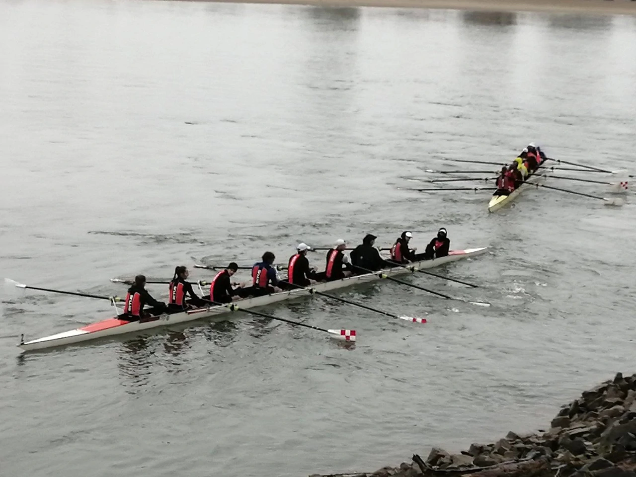Miholjska regata, Foto: Radio Osijek/HRT