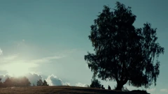 Petak, 14. travnja na Trećem  , Foto: Napadačice u nogometu /dokumentarni film