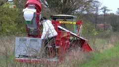 Berba šipka u Karlovačkoj županiji