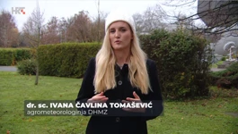 Ivana Čavlina Tomašević