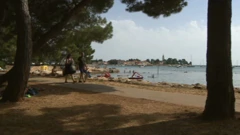 Novigrad
