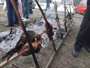 16. Čvarakfest, Foto: Vlatko Franjin/HRT Radio Osijek