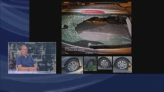 Aleksandar Saša Savić