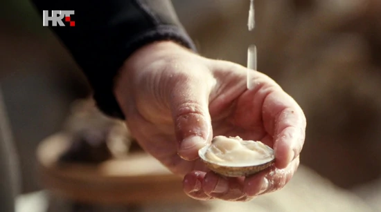 Koji morski zalogaj skriva najviše mora u sebi? 