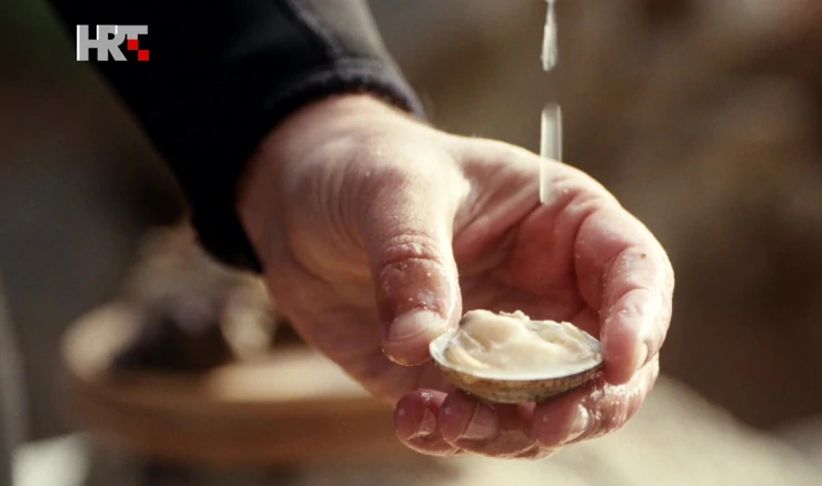 Koji morski zalogaj skriva najviše mora u sebi? 