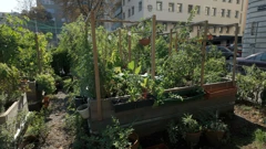 Nedjelja, 25. siječnja na Prvom, Foto: Vrtlarica/6. sezona