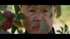 Chef Tojo i daruma, Foto: promo/dokumentarni film