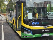 Gotova nabava 12 električnih autobusa za Pulu, Foto: Mauro Giorgi/HRT