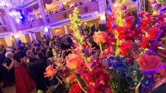 77. Hrvatski bal u Beču, Foto: ORF.at/snimka zaslona