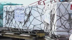 Program COVAX