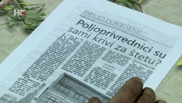 Medijske obave
