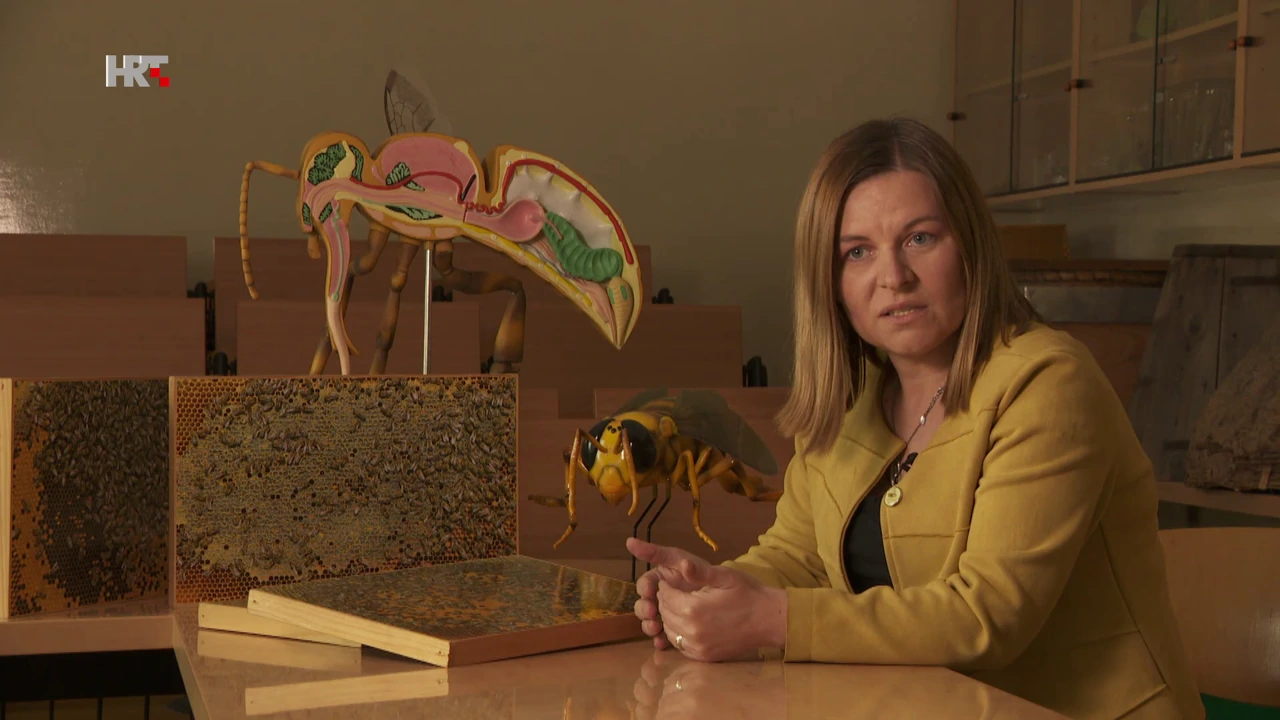 prof. dr. sc. Ivana Tlak Gajger, Veterinarski fakultet u Zagrebu , Foto: Puls/HTV/HRT