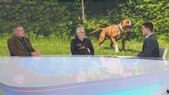 Ercegović i Skok