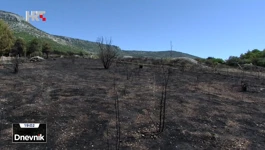 Požar na Bolu