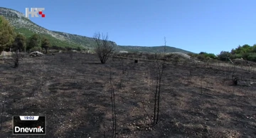 Požar na Bolu