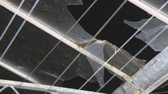 Nevrijeme uništilo staklenike u općini Veliki Bukovec, Foto: HTV/HRT