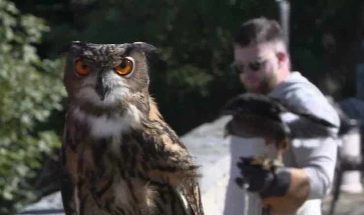 Modro jezero u Imotskom oduševljava turiste