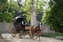 Subota, 28. ožujka na Prvom, Foto: Sjeme promjene/serija