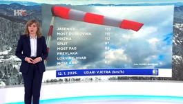 Dunja Plačko-Vršnak