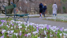 Botanički vrt u Zagrebu, arhivska fotografija